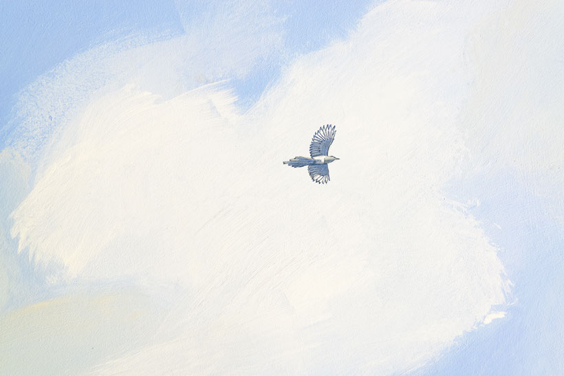 Détail du faux ciel sur un oiseau devant un ciel nuageux