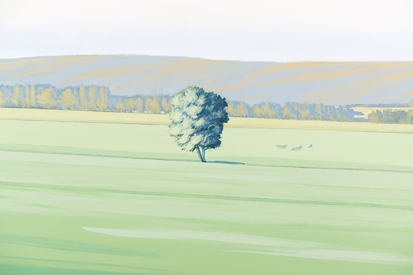 Détail du paysage campagnard avec un arbre en pleine plaine