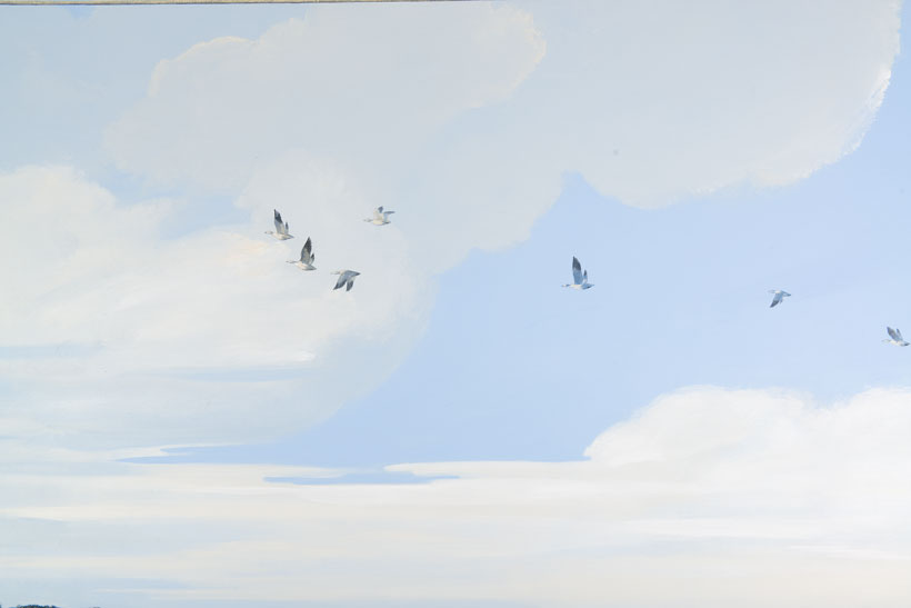 Détail du faux-ciel sur un groupe d'oiseaux dans l'air