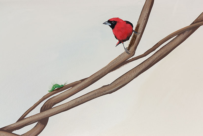 Détail d'un oiseau rouge sur une liane devant un faux ciel