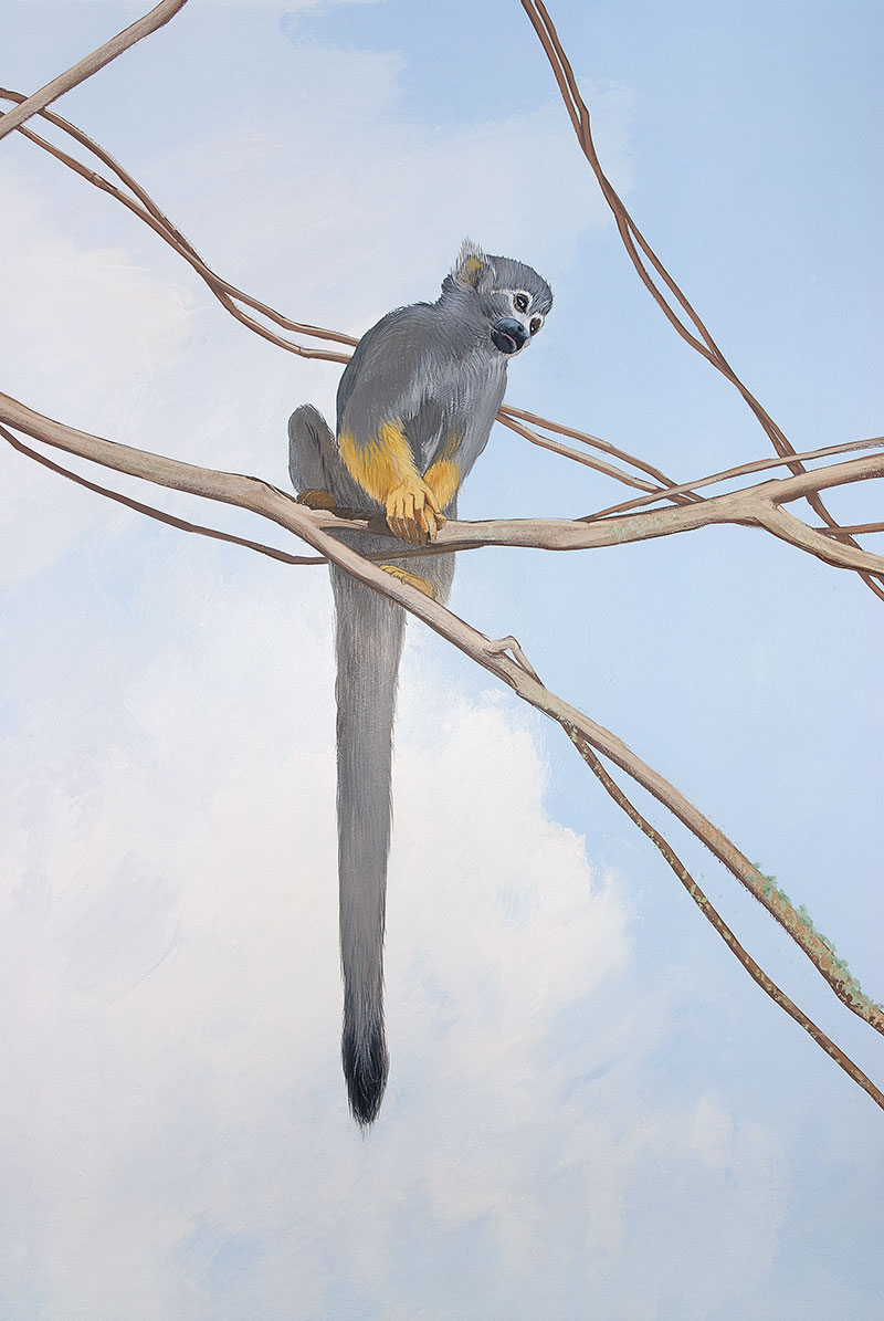 Détail d'un petit singe sur une liane devant un faux ciel