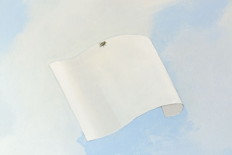Détail sur un morceau de papier devant le faux ciel avec une mouche posée dessus