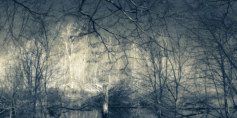 Photographie des arbres et d'un point d'eau dans la forêt d'Escorpain