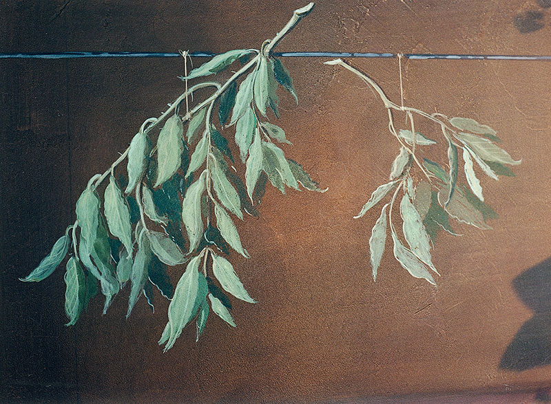 Détail d'un trompe l'oeil d'une branche de laurier