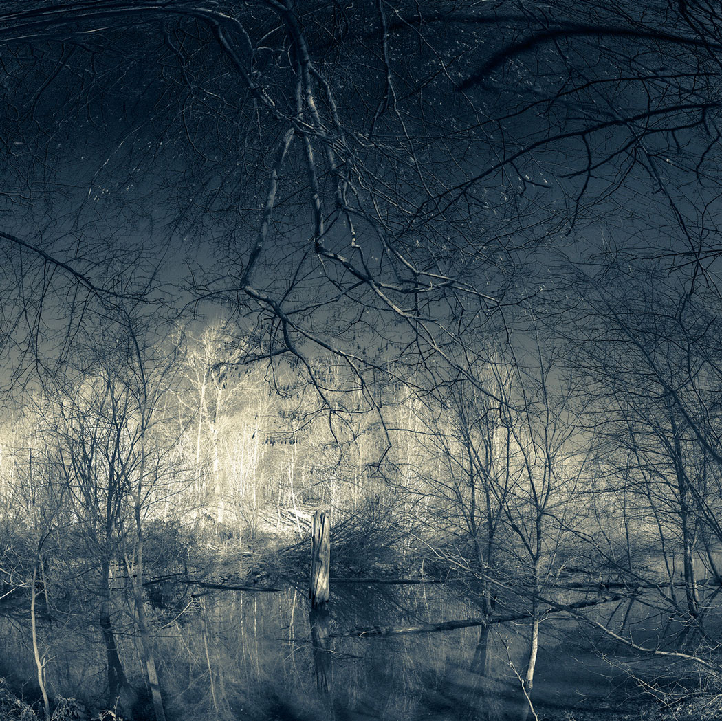 Photographie des arbres et d'un point d'eau dans la forêt d'Escorpain