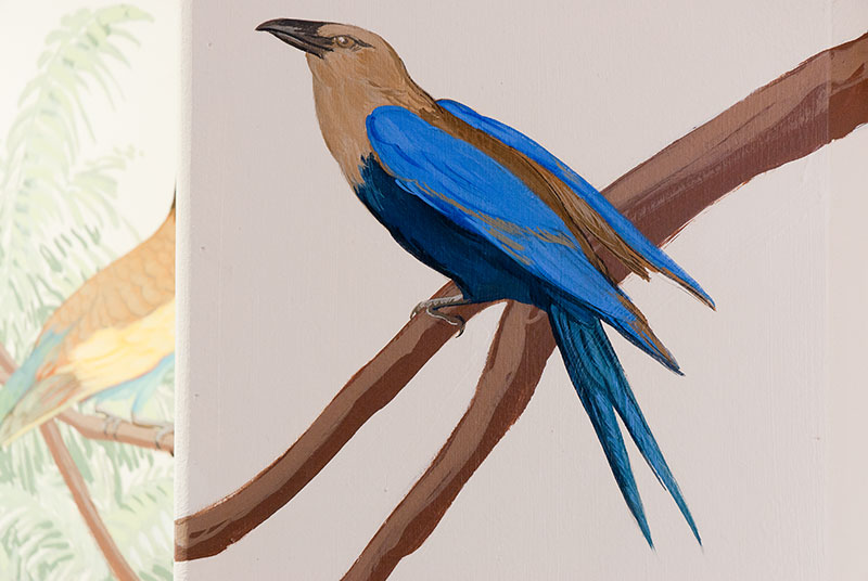 Détail trompe l'oeil d'un oiseaux aux ailes bleues posées sur une branche