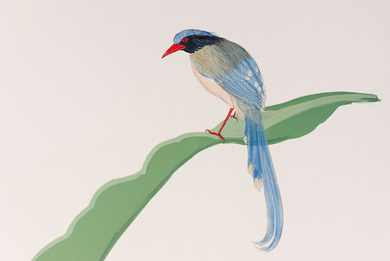 Détail trompe l'oeil d'un oiseau bleu